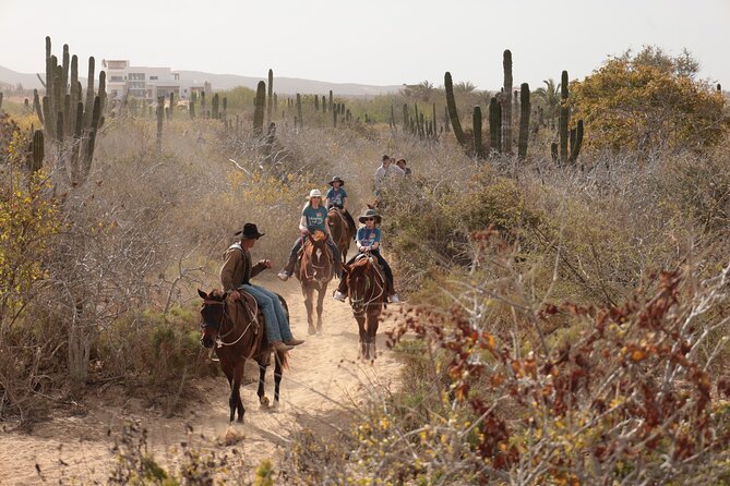 Horseback Riding Tour in Cabo San Lucas - How Long Are You Really on Horseback?