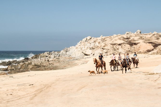 Horseback Riding Tour in Cabo San Lucas - What $65.86 Really Buys You