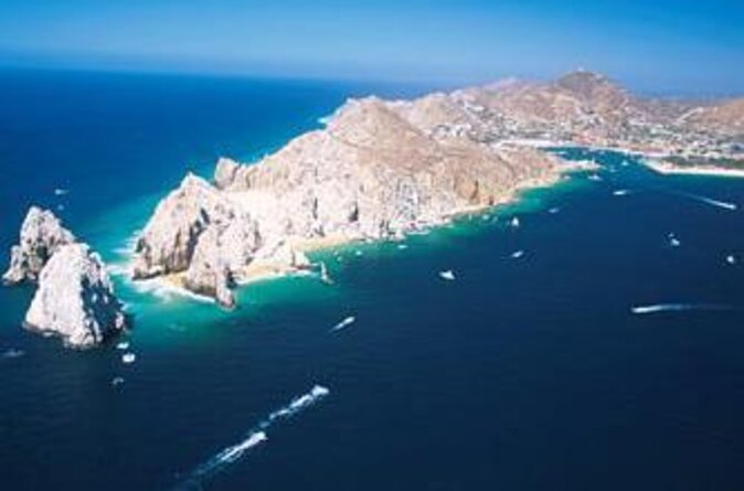 Humpback Whales in Cabo San Lucas - Quick take: the details that matter most