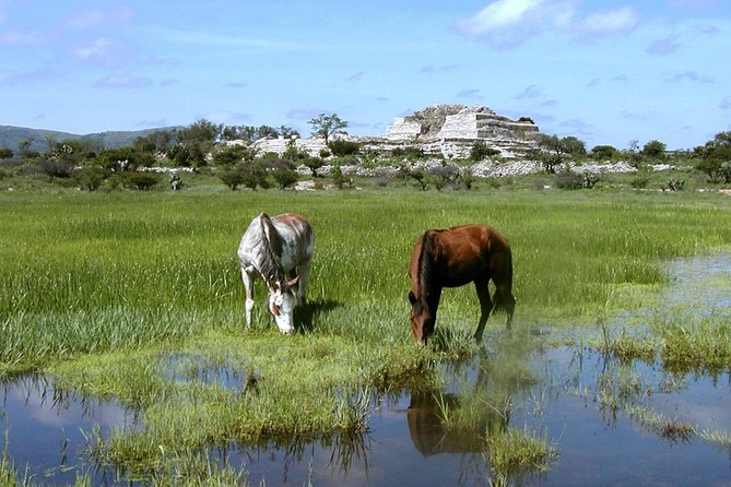 Immersive Cañada de La Virgen Pyramid Tour - Who will enjoy this outing most