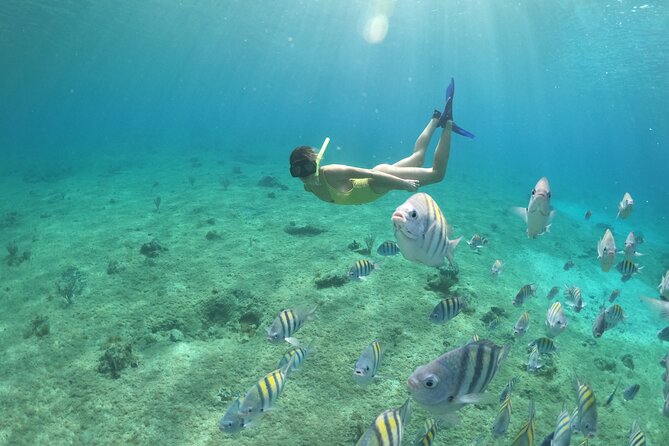 Invisible Boat Snorkeling Tour - Snorkeling gear, drinks, and crew support