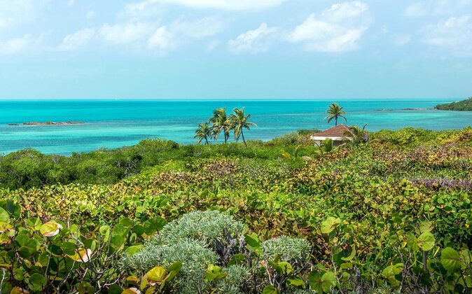 Isla Contoy Eco Adventure - Why Isla Contoy is worth seeing