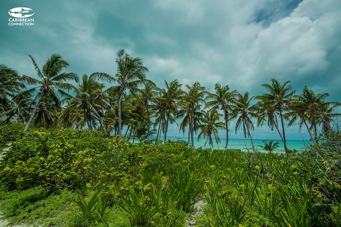 Isla Contoy Eco Adventure - Ixlache Reef and the snorkeling question