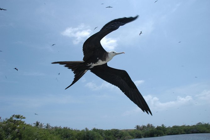 Isla Contoy Eco Adventure - Lunch with Tikinxic fish and an open bar
