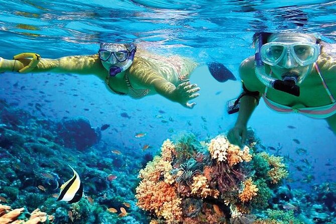 Isla Mujeres Catamaran, Open Bar & Optional Buffet and pick up - Beach-club time on Isla Mujeres