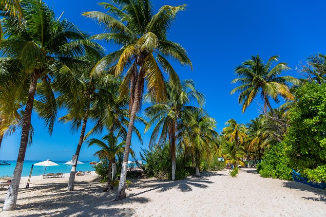 Isla Mujeres Catamaran, Open Bar & Optional Buffet and pick up - Two and a half hours to explore Isla Mujeres