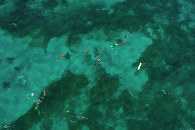 Isla Mujeres Island and Snorkeling Tour - Downtown Isla Mujeres and a short island walk