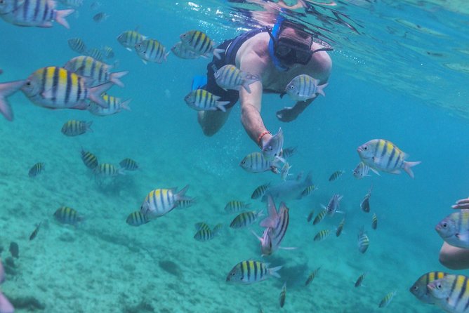 Isla Mujeres Luxury Sailing: Adults Only or Family Friendly - Family-friendly or adults-only?