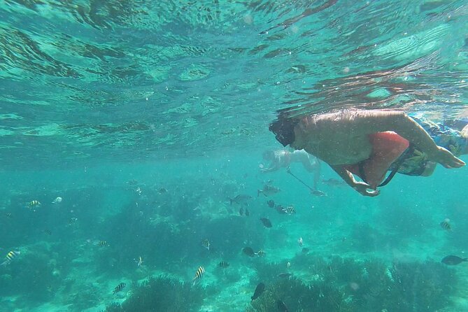 Isla Mujeres Snorkeling Adventure at the Underwater Museum - First water stop: an easy start, when conditions allow