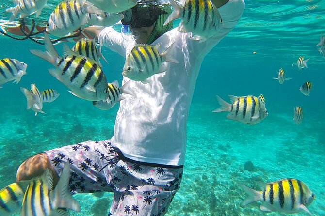 Isla Mujeres Snorkeling Adventure at the Underwater Museum - The boat ride can shape your whole morning
