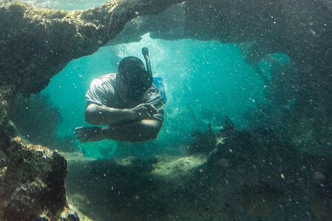 Isla Mujeres Snorkeling Tour Adventure - Why this Isla Mujeres trip is appealing