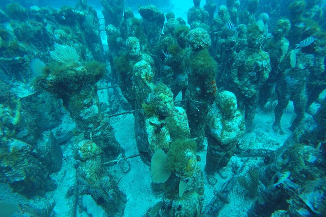 Isla Mujeres Snorkeling Tour Adventure - Stop two: a quieter reef with changing conditions