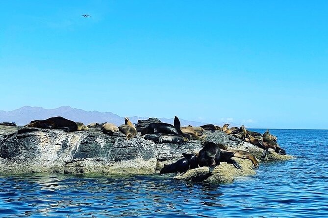 Island Tour with Snorkeling and Picnic - How much value do you get for $116.50?