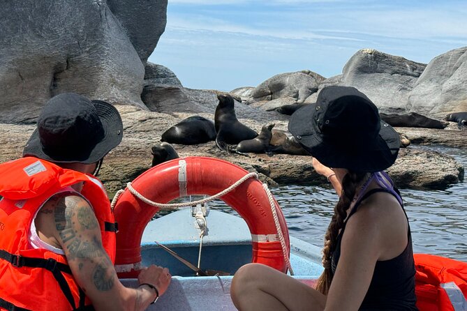 Island Tour with Snorkeling and Picnic - Who will enjoy this Loreto boat trip most?