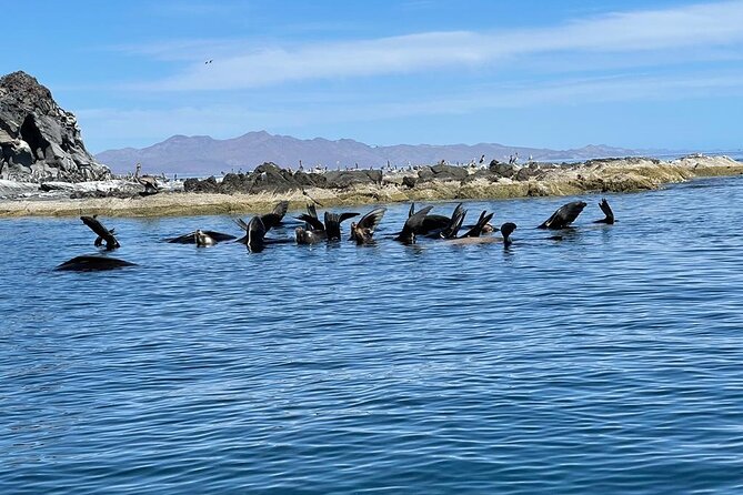Island Tour with Snorkeling and Picnic - Should you book Island Tour with Snorkeling and Picnic?