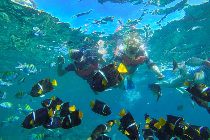 Islas Marietas & BBQ lunch at Majahuitas - Choosing between snorkeling, kayaking, and SUP