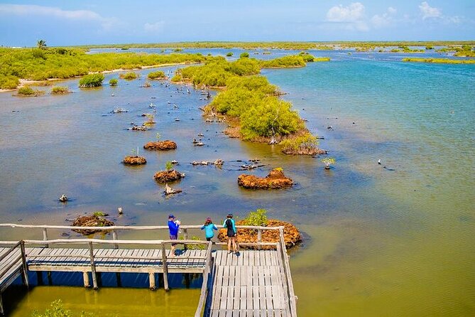 Jeep Safari All Inclusive Private Tour - Guide Quality Makes the Biggest Difference