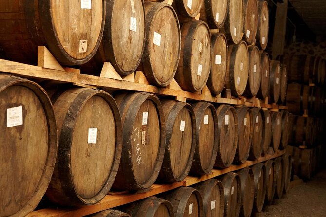 José Cuervo Tequila Day Experience from Guadalajara - Key points to know before booking