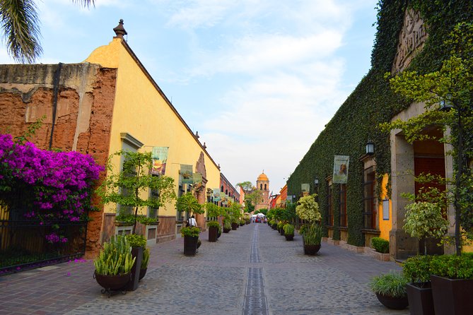 José Cuervo Tequila Day Experience from Guadalajara - Don Elias: the smaller distillery with a personal feel