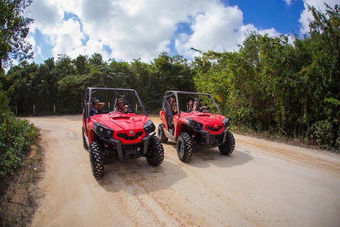 Jungle Buggy Tour from Playa del Carmen Including Cenote Swim - A 25-mile ride through the Riviera Maya forest