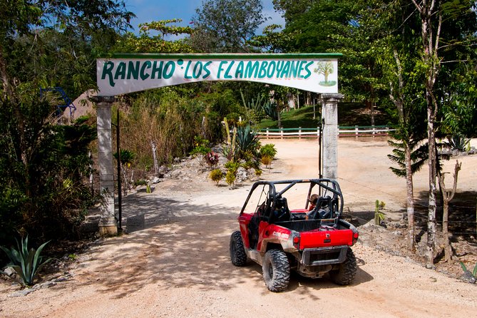 Jungle Buggy Tour from Playa del Carmen Including Cenote Swim - Who should book this outing?