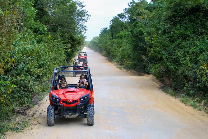 Jungle Buggy Tour from Playa del Carmen Including Cenote Swim - The cenote stop is the real reward