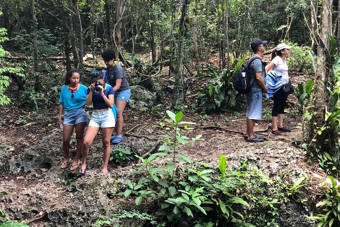 Jungle Jeep Adventure to Mayan Caves, Cenote and Snorkel - Tequila at Mi Mexico Lindo