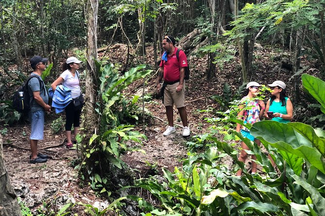 Jungle Jeep Adventure to Mayan Caves, Cenote and Snorkel - Meeting at Mayan Plaza without losing your morning