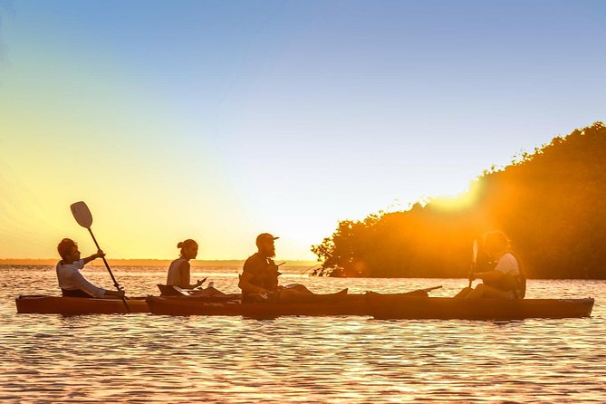 Kayak adventure through Laguna Nichupté in Cancun - Why Laguna Nichupté feels different from Cancun’s beach scene