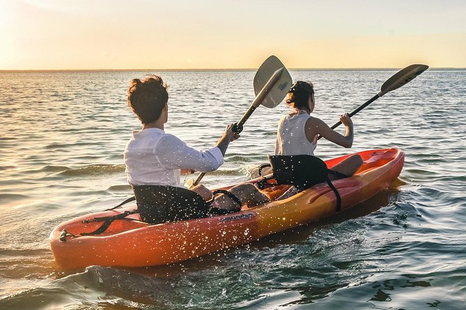 Kayak adventure through Laguna Nichupté in Cancun - Mangrove tunnels and small marine life