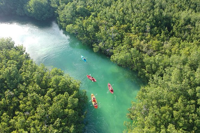 Kayak adventure through Laguna Nichupté in Cancun - Meeting the guides at Boulevard Kukulcan kilometer 3.5