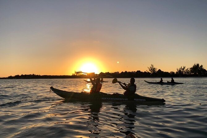 Kayak Mangroves Sunrise Experience - Flamingos, rays, horseshoe crabs, and crocodiles