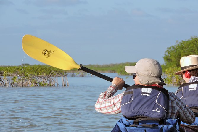 Kayak Sian Ka’an Biosphere Reserve Sunset Tour - Is $150 a fair price?