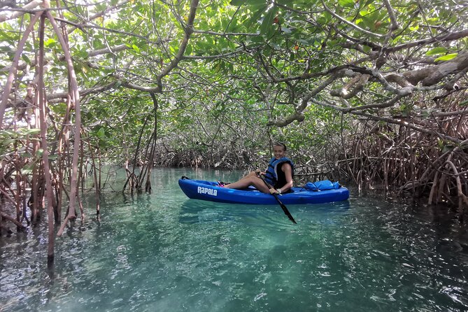 Kayak TOUR POR Laguna Nichupte Cancun - The mangrove channels are the real prize