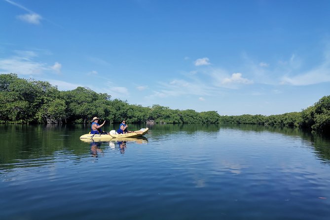 Kayak TOUR POR Laguna Nichupte Cancun - Is $38 a good value?