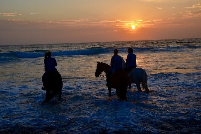 La Bufadora, Markets & Horseback Beach Ride Shore Excursion - Is $71 a good value?