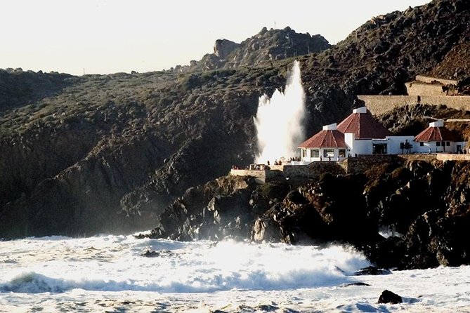 La Bufadora Tour in Baja California - Four things to know before booking