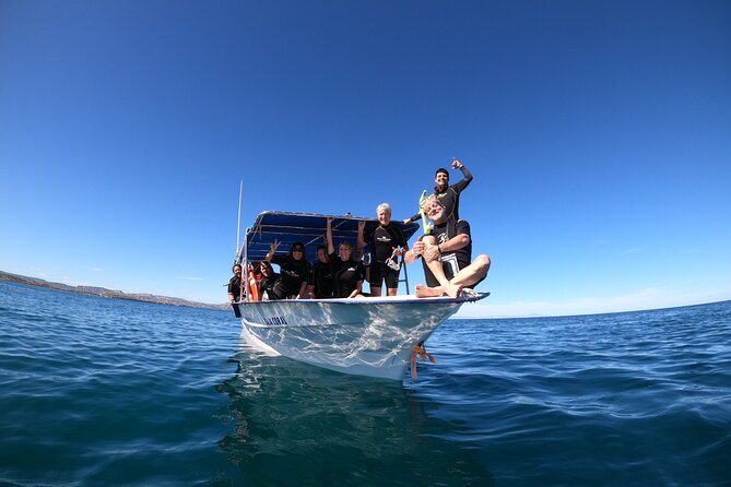 La Paz Whale Shark Snorkeling Tour and Lunch From Los Cabos - Is $259 a fair price?