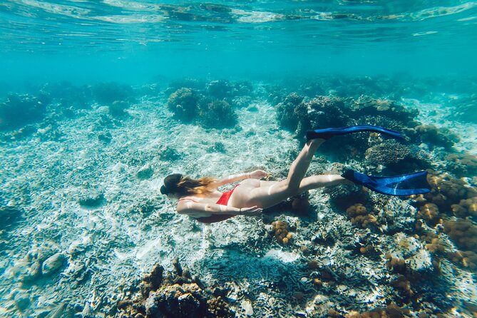 La Paz World Class Snorkeling in Balandras Hidden Beaches - Pichilingue is the gateway to the catamaran