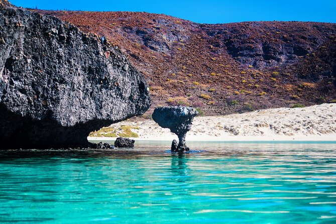 La Paz World Class Snorkeling in Balandras Hidden Beaches - Breakfast, lunch, and an open bar