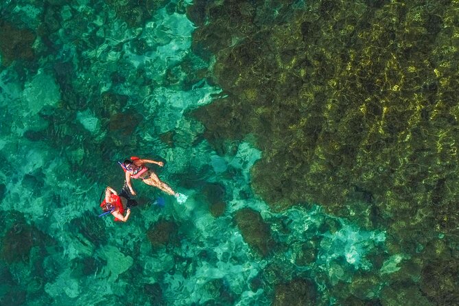 La Paz World Class Snorkeling in Balandras Hidden Beaches - What the $219 price really buys you