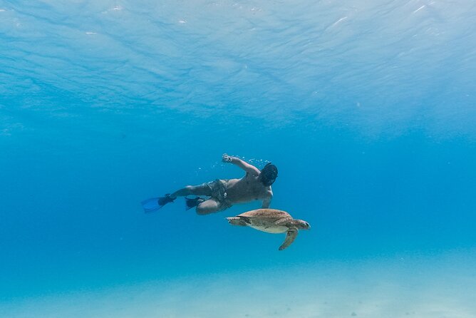 La Paz World Class Snorkeling in Balandras Hidden Beaches - Who should book this Balandra excursion