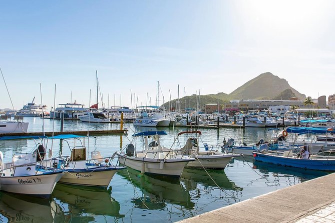 Land’s End Experience – Arch, Beaches & Marine Life - Is $55 a good value?