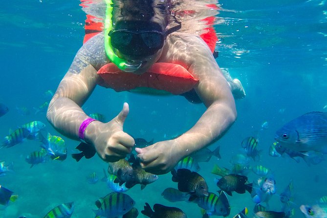 Las Caletas Beach & Adventure Park with buffet lunch and open bar - What to pack and how to use your time