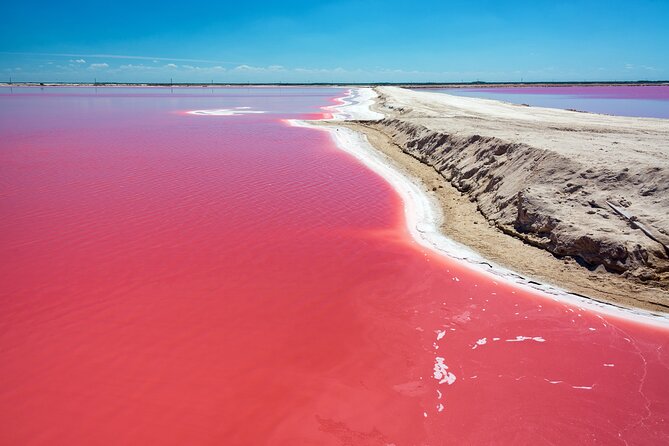 Las Coloradas Pink Lake & Rio Lagartos Guided Tour - Key points to know before booking