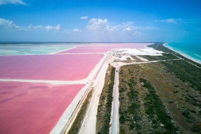 Las Coloradas Pink Lake & Rio Lagartos Guided Tour