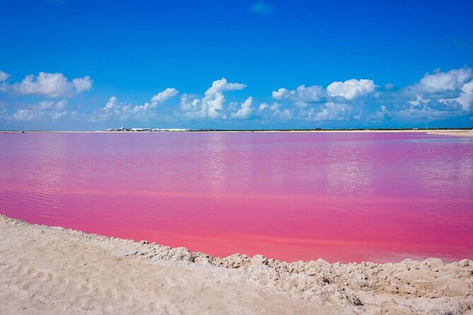 Las Coloradas, Río Lagartos and Playa Cancunito Tour from Mérida - Key points to know before booking