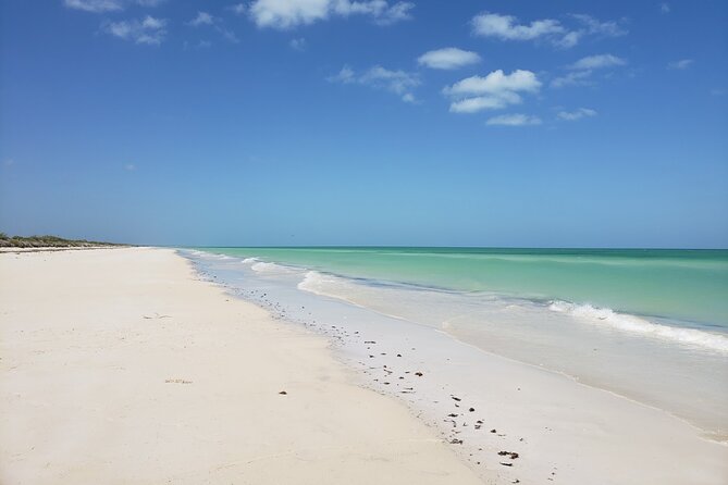 Las Coloradas, Río Lagartos and Playa Cancunito Tour from Mérida - What the $119.42 price really covers