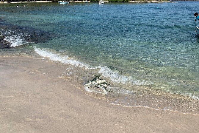 Las Gatas Kayaking and Snorkeling Tour - What $101.56 includes