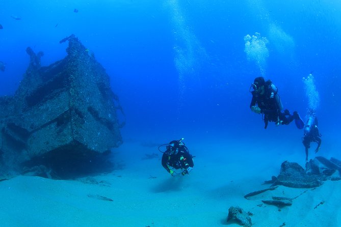 Learn to Scuba Dive in Cabo San Lucas with PADI - Key points for your Cabo scuba session
